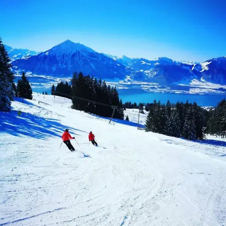 SwissHut Stunning Views Alps Lake - Apart. Ringold Up Apartment *