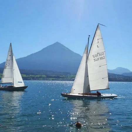 SwissHut Stunning Views Alps Lake - Apart. Ringold Up Apartment