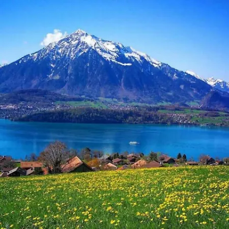 Swisshut Stunning Views Alps - Apart. Ringold Up Apartment Sigriswil