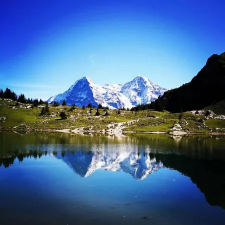 Lägenhet Swisshut Stunning Views Alps - Apart. Ringold Up